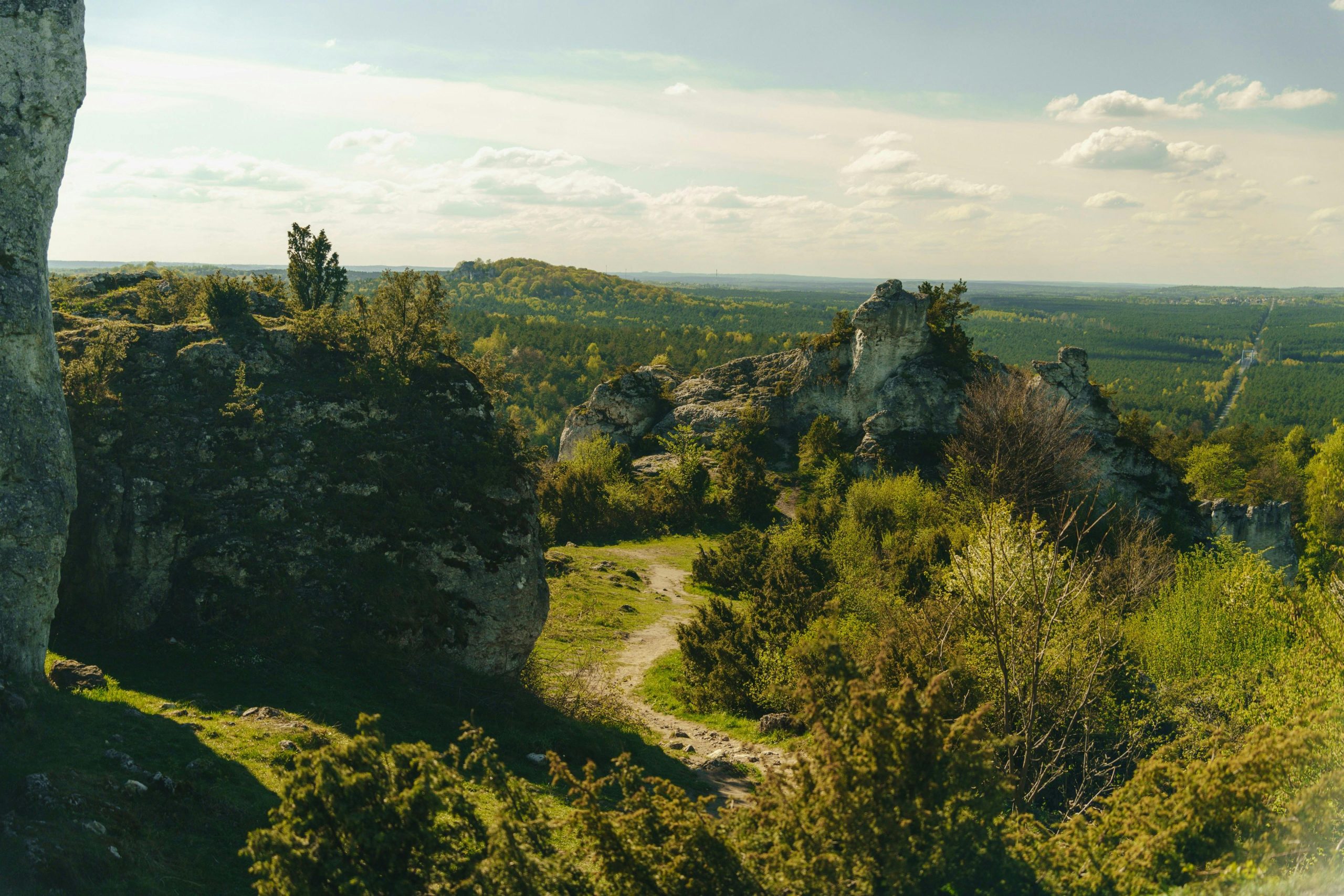 Jura Krakowsko-Częstochowska — skały wapienne i szlaki turystyczne