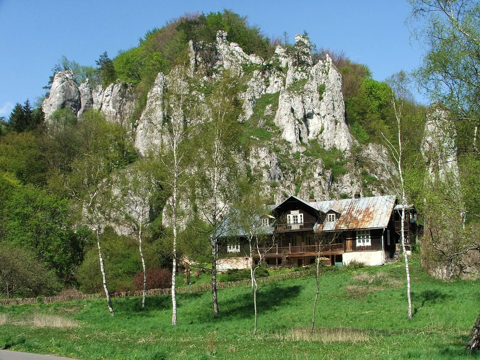 Jura Krakowsko-Częstochowska — skały wapienne i szlaki turystyczne