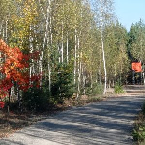 Wspomnienie jesieni
