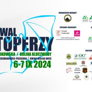 7 Festiwal Nietoperzy
